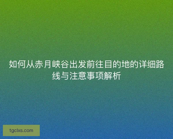 如何从赤月峡谷出发前往目的地的详细路线与注意事项解析