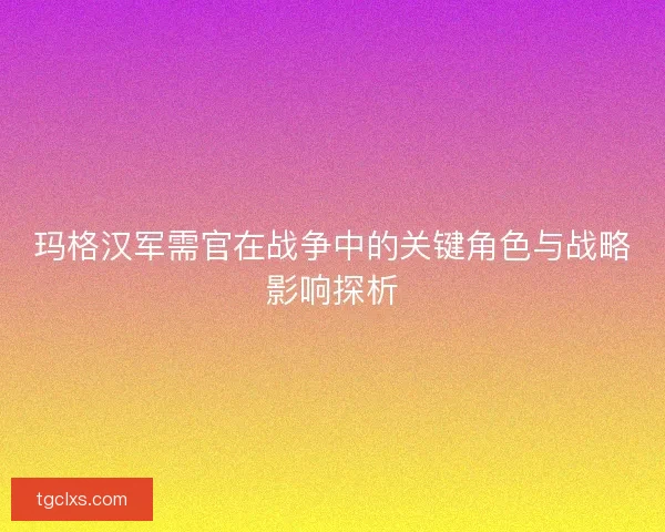 玛格汉军需官在战争中的关键角色与战略影响探析