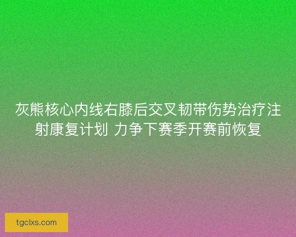 灰熊核心内线右膝后交叉韧带伤势治疗注射康复计划 力争下赛季开赛前恢复