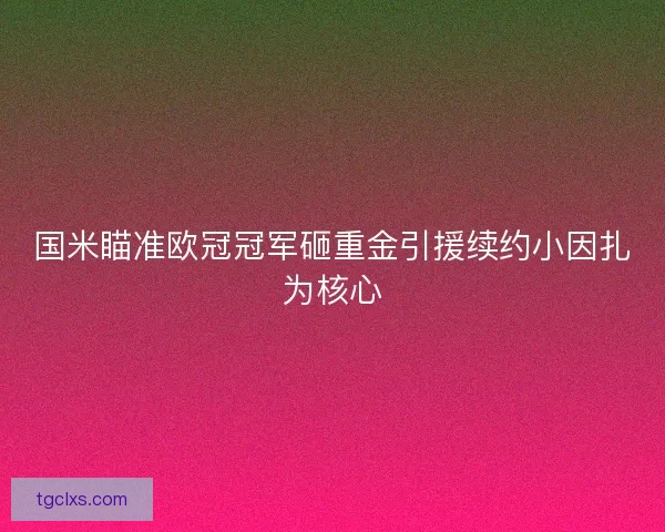 国米瞄准欧冠冠军砸重金引援续约小因扎为核心
