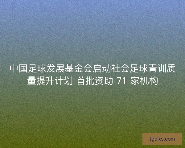 中国足球发展基金会启动社会足球青训质量提升计划 首批资助 71 家机构