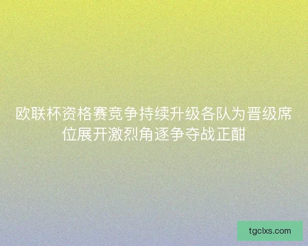 欧联杯资格赛竞争持续升级各队为晋级席位展开激烈角逐争夺战正酣