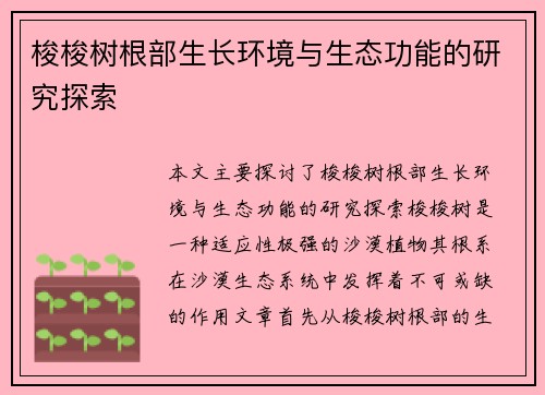 梭梭树根部生长环境与生态功能的研究探索