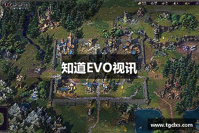 知道EVO视讯